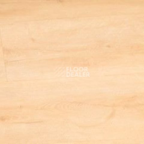 Кварцвиниловые полы Vinilpol Click 5мм 7891-EIR Дуб Латина фото 1 | FLOORDEALER